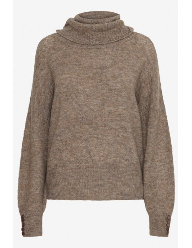 ICHI IHKAMARA RN2 Fungi